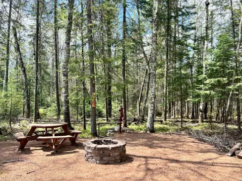 Wooded Lot South of Rhinelander