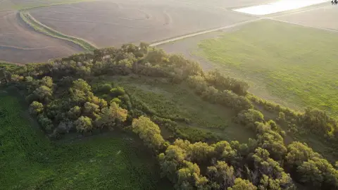Timbered Recreational Land Tract