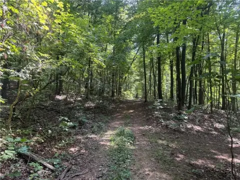 Arkansas Hunting Land Near Fayetteville