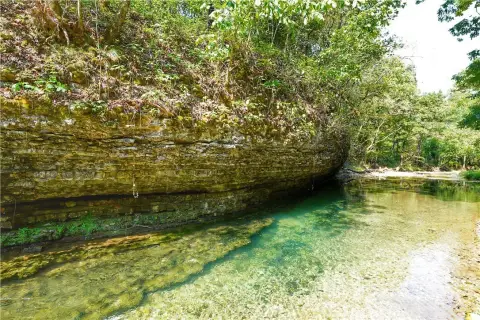 Northwest Arkansas Legacy Farm