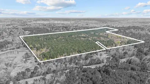 56.543 Acres Wooded Land