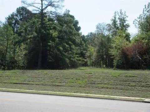 Wooded Agricultural Land Tract
