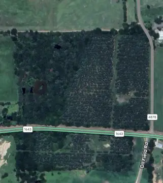 East Texas Land with Timber