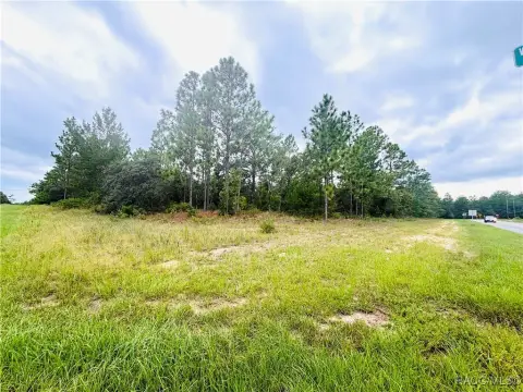 Citrus Springs Land for Sale