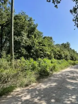 8.5 Acres Wooded Land