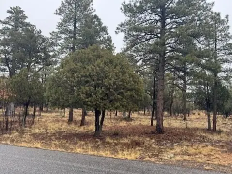 Happy Jack Land Homesite
