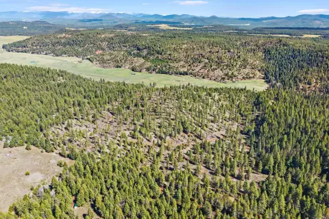 Recreational Hunting Land Parcel