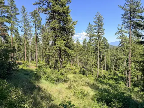 Recreation Land with Four Parcels
