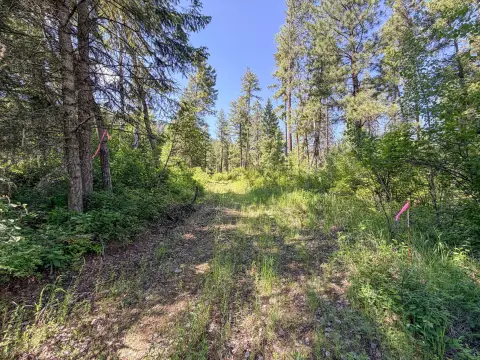 Recreational Land Parcel with Timber