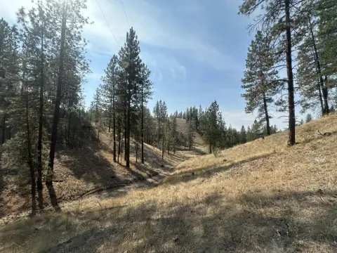 Recreational Land with Road Access