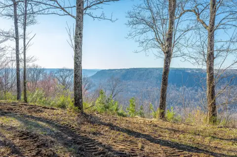 Jasper Highlands Bluff Lot Opportunity