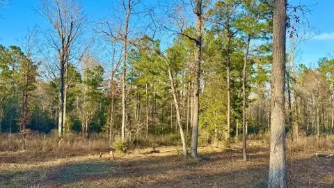 Hemphill Hunting & Recreational Property