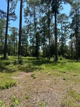 Acre Lot Near Lake Sam