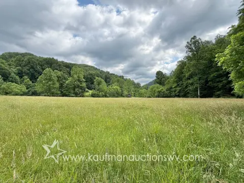 Multi-Parcel Timber & Hunting Land