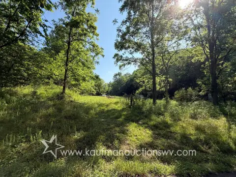 Multi-Parcels Timber and Hunting Land