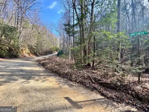Ellijay Mountain Land For Sale