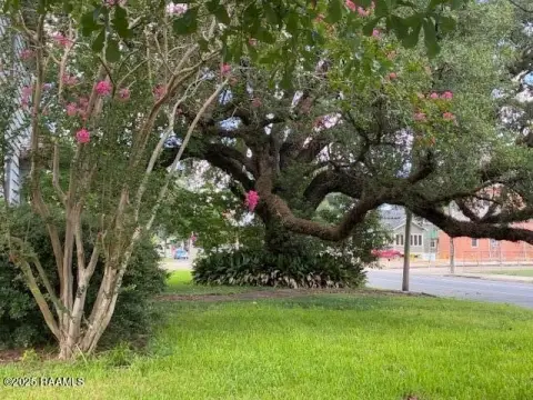 Commercial Land with Mature Oaks