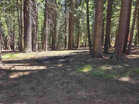 Almost-Level Treed Residential Lot