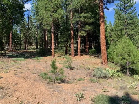 Gated Community Homesite Land Parcel