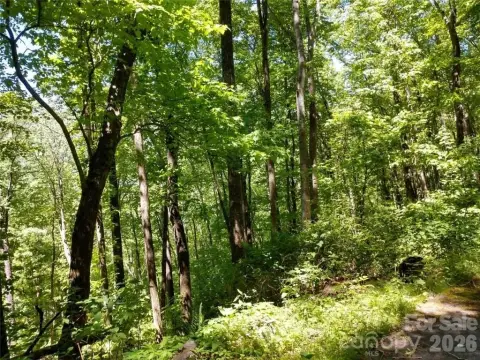 Waynesville Mountain View Lot