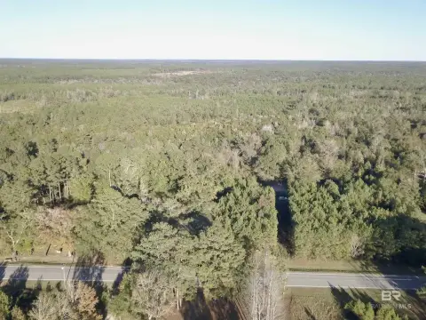 46-Acre Timber/Recreational Tract Homesite