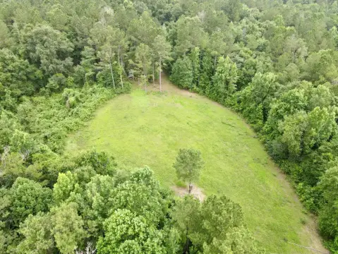 Hunting Land with Food Plots