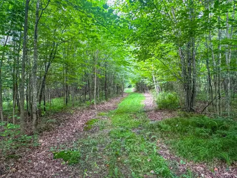 Wooded Recreational Land
