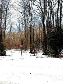 Mercer, WI Land Parcel