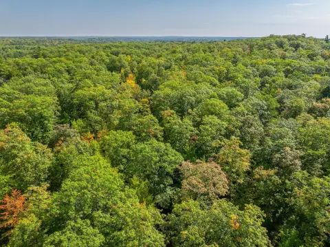 Wooded Land Near Minocqua