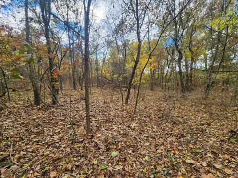 Unrestricted Wooded Land in Gentry