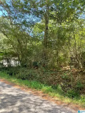 Residential Land in Adamsville, AL