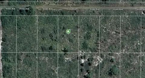 Vacant Lot in Sebring, FL