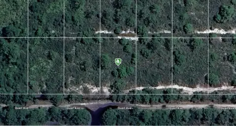 Vacant Lot in Sebring, FL