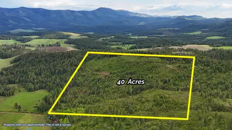 40 Acres Timber & Views