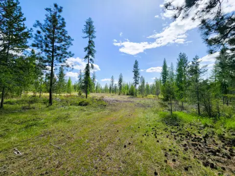 69 Acres of Timber Ground