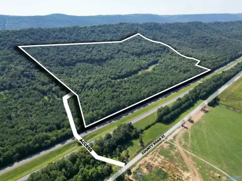 Managed Hunting Land