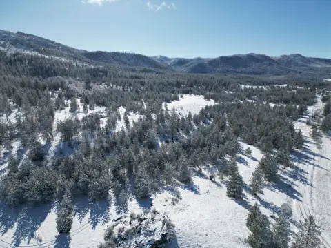 75 Acres Timbered Land Parcel