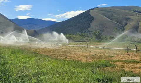 Irrigated Agricultural Land