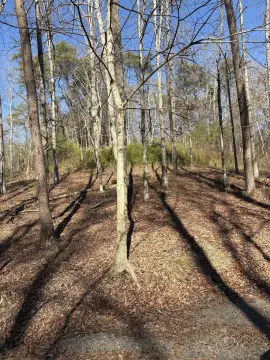Residential Land in Cleveland, TN