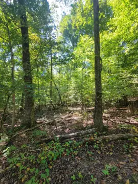 Residential Land in Cleveland, TN