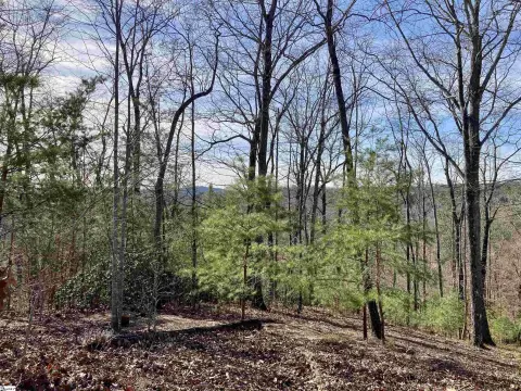 Residential Lot in Gated Community