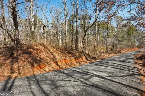 Two Acre Lot in Covington