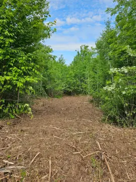 Recreational Hunting Land with Trail Access