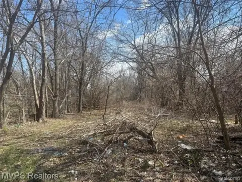 Vacant Land in Pontiac Neighborhood