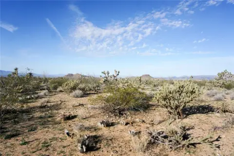 Land with Mountain Views