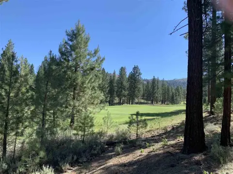 Portola Homesite with Mountain Views