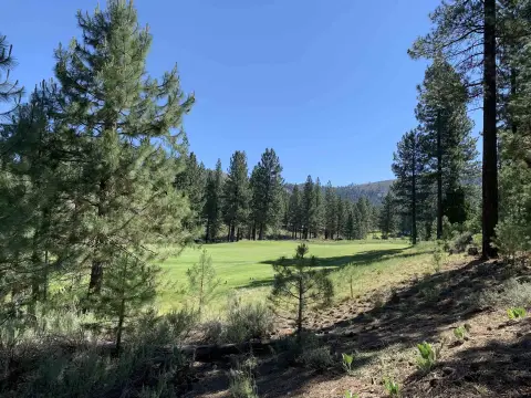 Portola Homesite with Mountain Views