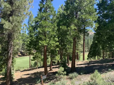 Portola Homesite with Golf Views