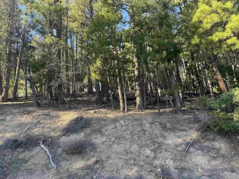 Forested Land with Mountain Views