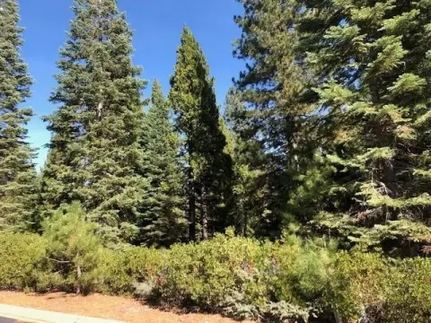 Lake Almanor Homesite in Foxwood